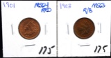 HIGH GRADE 1901 & 1903 INDIAN HEAD PENNIES