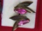 .925 Ladies Pink Art Decco Screw Back Earrings