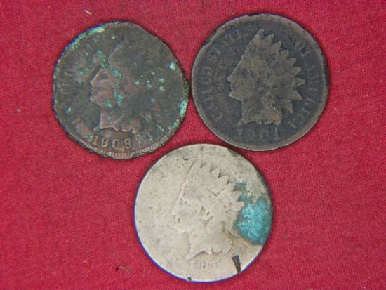 (3) Indian Head Cent