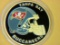 Tampa Bay Buccaneers Nfl Coin