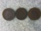 1896, 1897 And 1898 Indian Head Cent