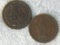 (2) 1895 Indian Head Cent