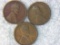 (3) 1919 S Lincoln Cents