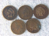 (5) Assorted Us Indian Head Cent