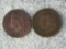 (2) 1895 & 1900 Indian Head Cents