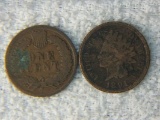 (2) 1891 & 1901 Indian Head Cents
