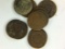 (10) Assorted Indian Head Cent