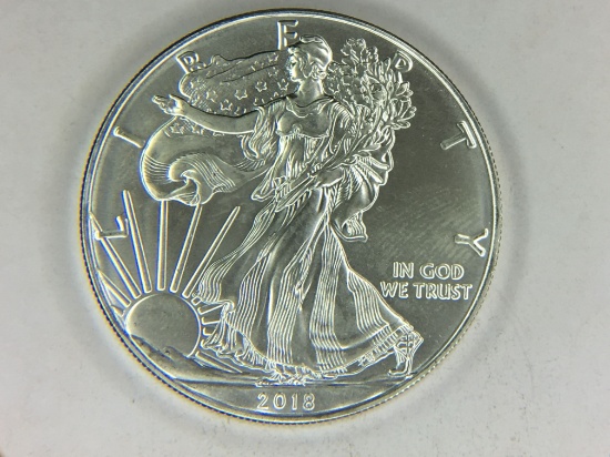 2018 Silver Eagle