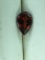 .46 Carat Pear Shaped Garnet