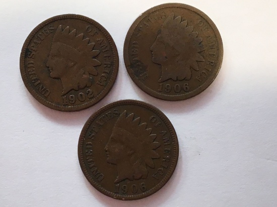 (3) Indian Head Cent
