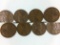 (7) Lincoln Cents