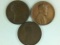 (3) Lincoln Cents