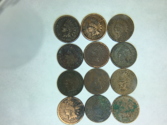 (12) Indian Head Cent