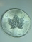 .9999 Fine 1 Ounce Silver 2009 Canadian Maple Leaf Round