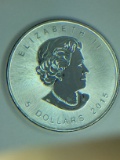 .9999 Fine 1 Ounce Silver 2009 Canadian Maple Leaf Round