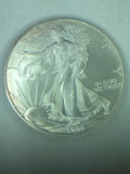 Free 1996 Silver Eagle To The Bidder With The Most Won Lots