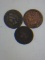 (3) 1893 Indian Head Cents