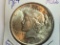 1924 P Peace Dollar