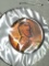 Lincoln Wheat Cent 1956 Gem High Grade Red Rainbow M S+++++++