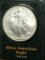 American Silver Eagle 2000 Gem But Satin White Perfect Coin Rainbow Rev 70? 1 Troy Oz
