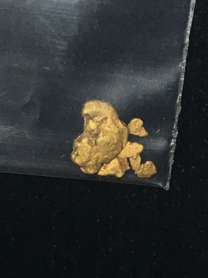 Gold Nuggets Alaskan Yellows 20 Kt+ Big Lot .178 Grams