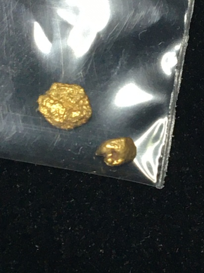 Gold Nuggets Alaskan Yellows Top End 20 Kt+ .19 Grams Chunky Lot