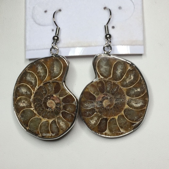 1 1/2" A A A Ammonite Fossil Gemstone Earrings