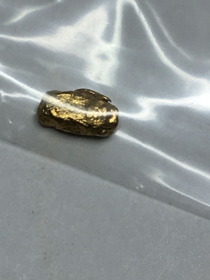 Gold Nugget Chunky Big One 20kt+ .239 Grams Top End Yellow