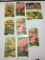 1930 Gallaher Cigarette Cards Garden Flowers