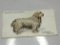 1931 Player's Cigarettes Clumber Spaniel Card
