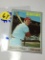 1970 Washington Senators 2nd Baseman Bernie Allen