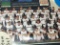 2005 Pittsburgh Pirates Topps Team Trading Cards