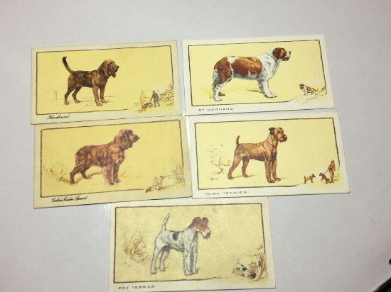 1930 Gallaher Cigarette Cards Dogs