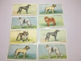 1930 Wills's Cigarette Cards Dogs