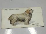 1931 Player's Cigarettes Clumber Spaniel Card