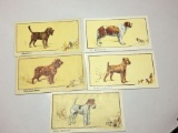 1930 Gallaher Cigarette Cards Dogs