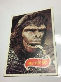 1967 Thrill Of The Hunt  Card #16