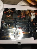(16) Panini Rookie Cards Misc. Numbers
