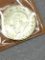 East Germany 1972 (a) 20 Mark Bu 