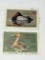 1986-1987 Ohio Wetland Waterfowl Stamp & U.S. Department Of Interior Stamp