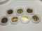 (7) Gold Plated Statehood Quarters Encapsulated