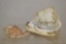 Large Helmet & Lace Murex Sea Shell