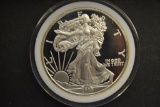 Coins. Silver Eagle Dollar 2009 .999 Silver