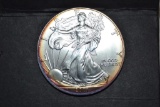 Coins. Silver Eagle Dollar 2001