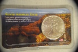 Coins. Silver Eagle Dollar. Uncirculated 1993