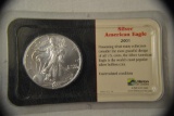 Coin. Silver Eagle Dollar. Uncirculated 2001.