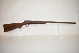 Gun. Premier Model Single Shot 22 cal Rifle