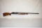 Gun. Winchester Model 12 Trap 12 ga Shotgun