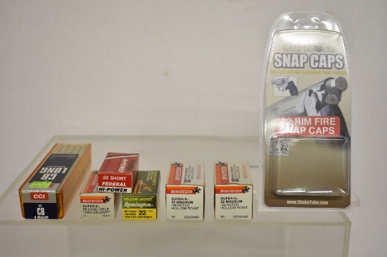 Ammo. Misc Group of 22 cal