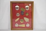 Collection of Badges and 2 Arrow Heads
